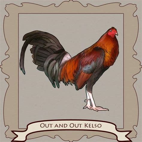 biboy enriquez book|Kelso: The Smartest Fighting Rooster AND the Magic .